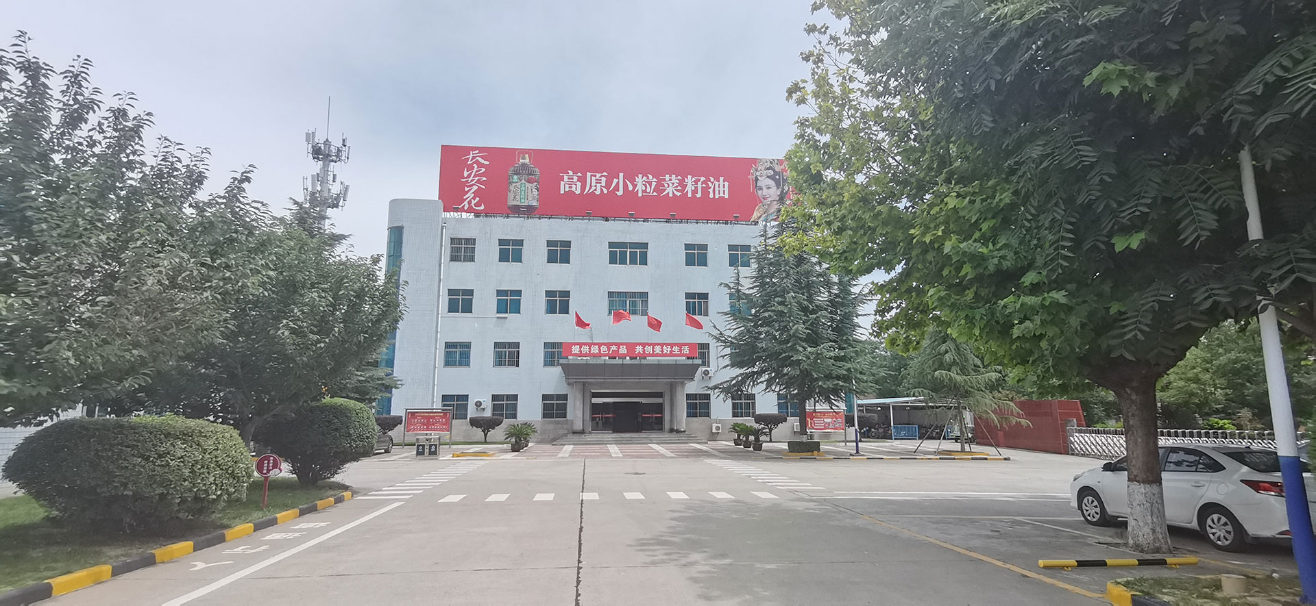 大樓網絡用.jpg